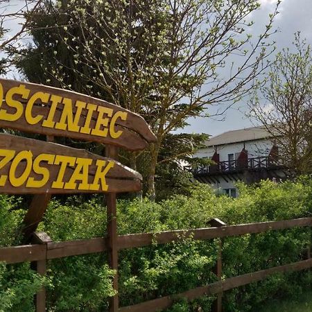 Gosciniec Szostak Villa Czarnowka Kültér fotó